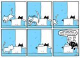 Miau 1