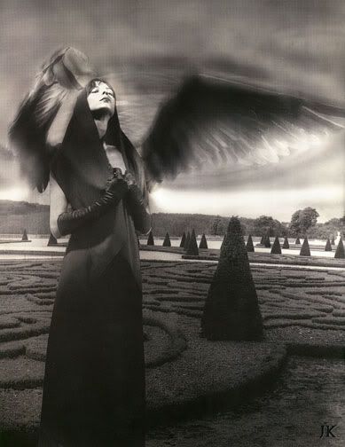 J. K. Potter - Angel wings