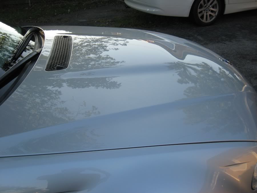 IMG_1649.jpg