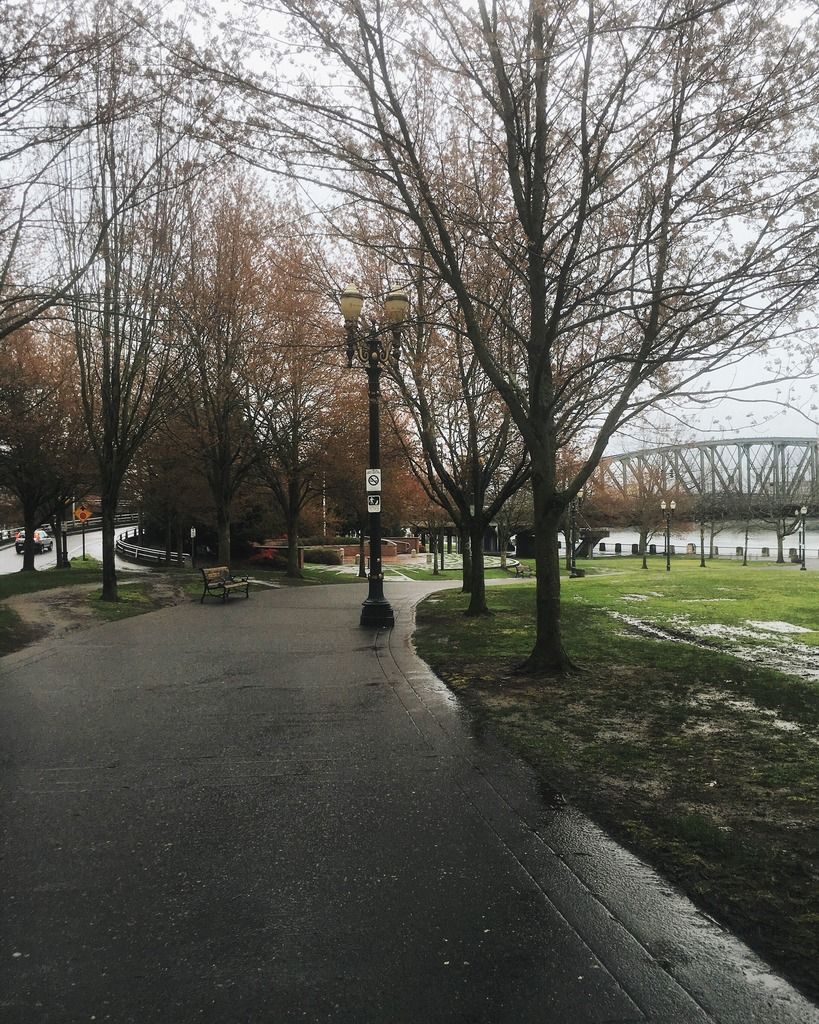 portland marriott downtown waterfront hotel review