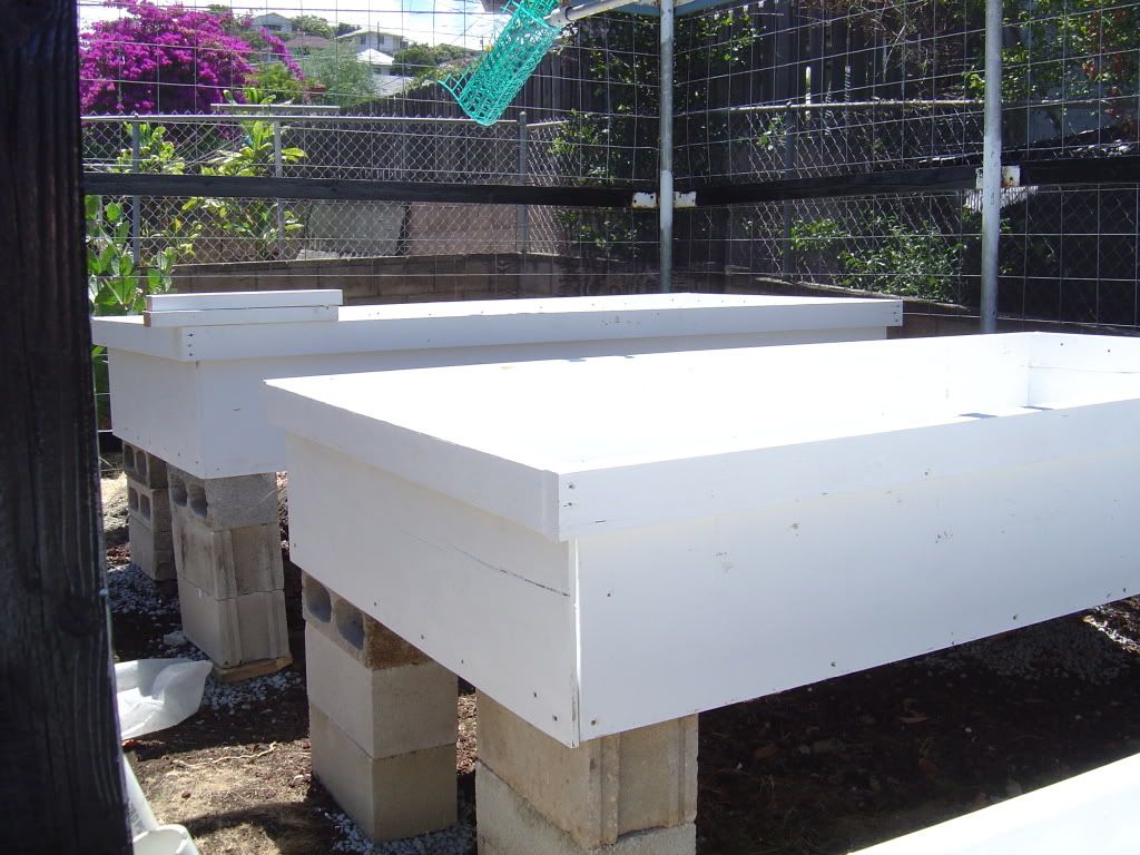 AQUAPONICS (c) jrmahina aquaponics grow bed media