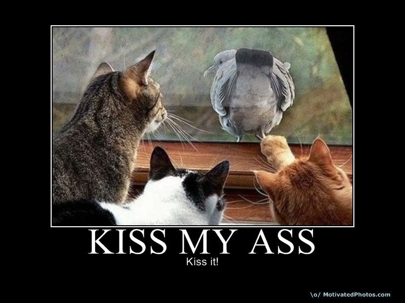 633583948501966593-KISSMYASS.jpg