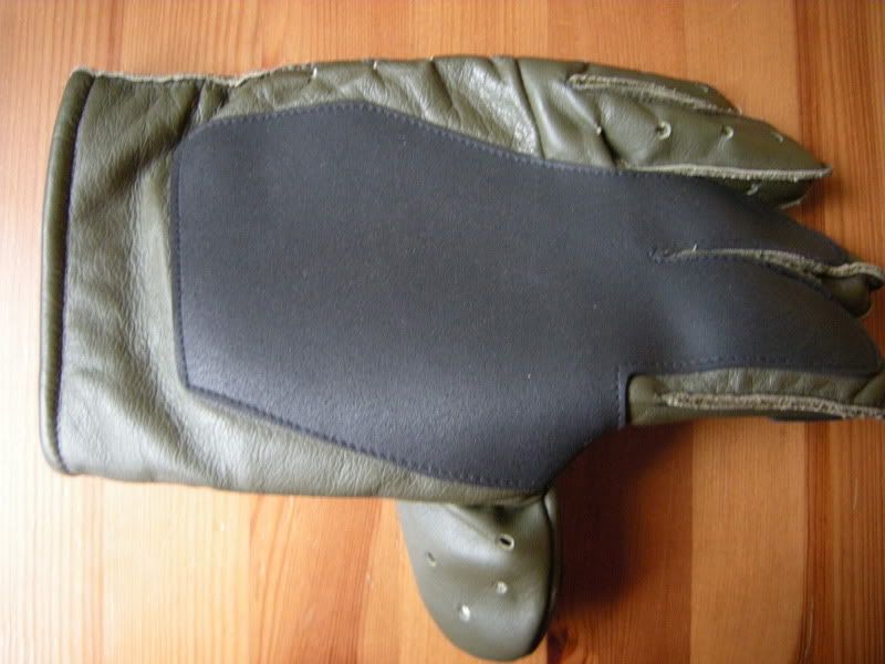 DSCN1273.jpg