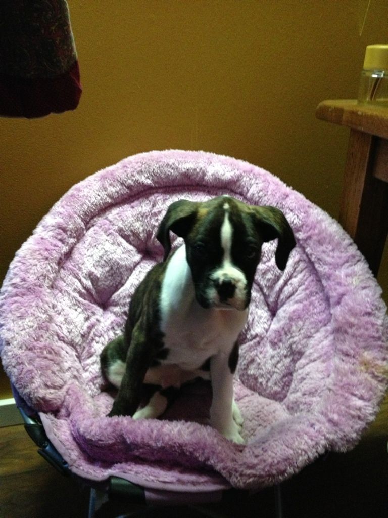 5C43DA65-A22D-47E0-B0C7-886779BD8610-305