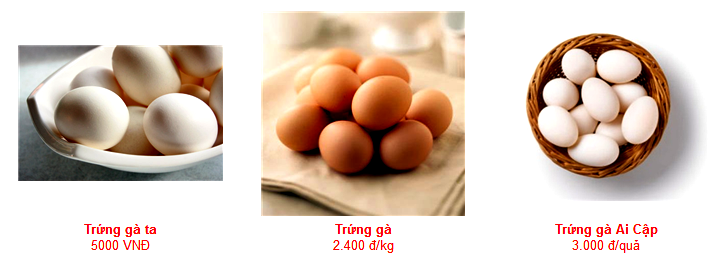 Thực phẩm lợn, gà, trứng tươi sạch 100%, giá ưu đãi từ Green Food