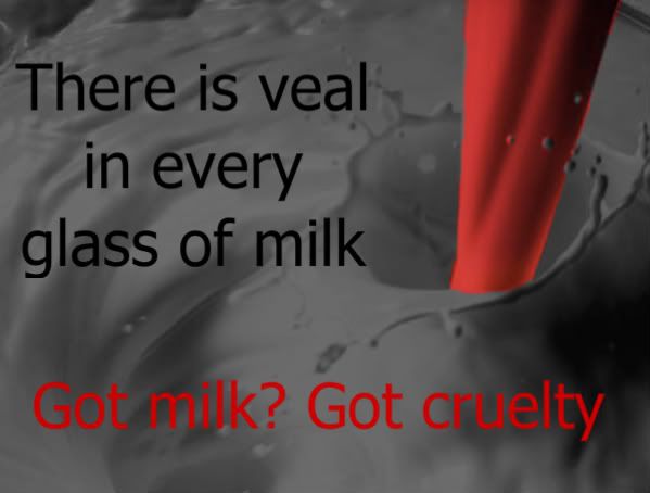 milk=veal
