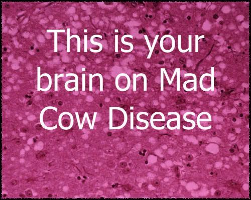 mad cow disease is the name