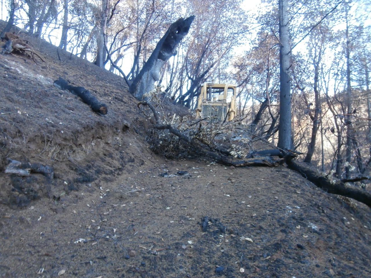  photo PC030101_zpsm2ht7bnc.jpg