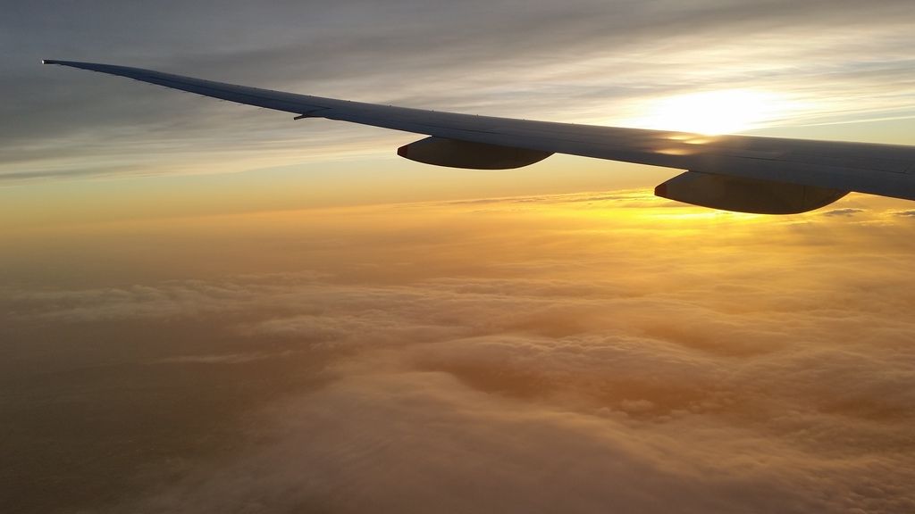  photo 20161005_040102_zpsytzayrk3.jpg