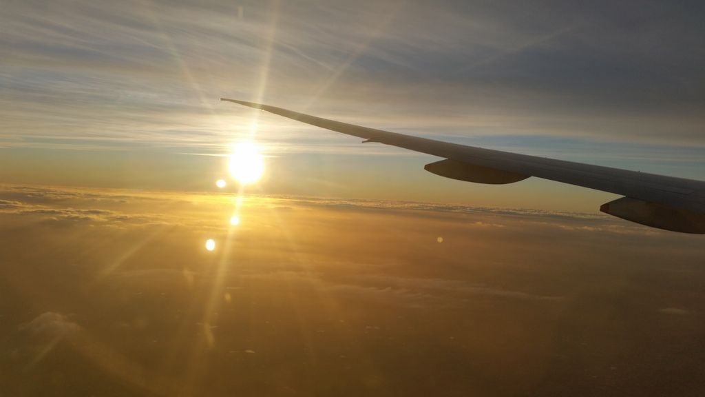  photo 20161005_040317_zpsuhzlnkv8.jpg