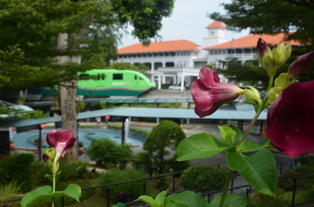  photo DSC_4960_zps3hhsjlrj.jpg