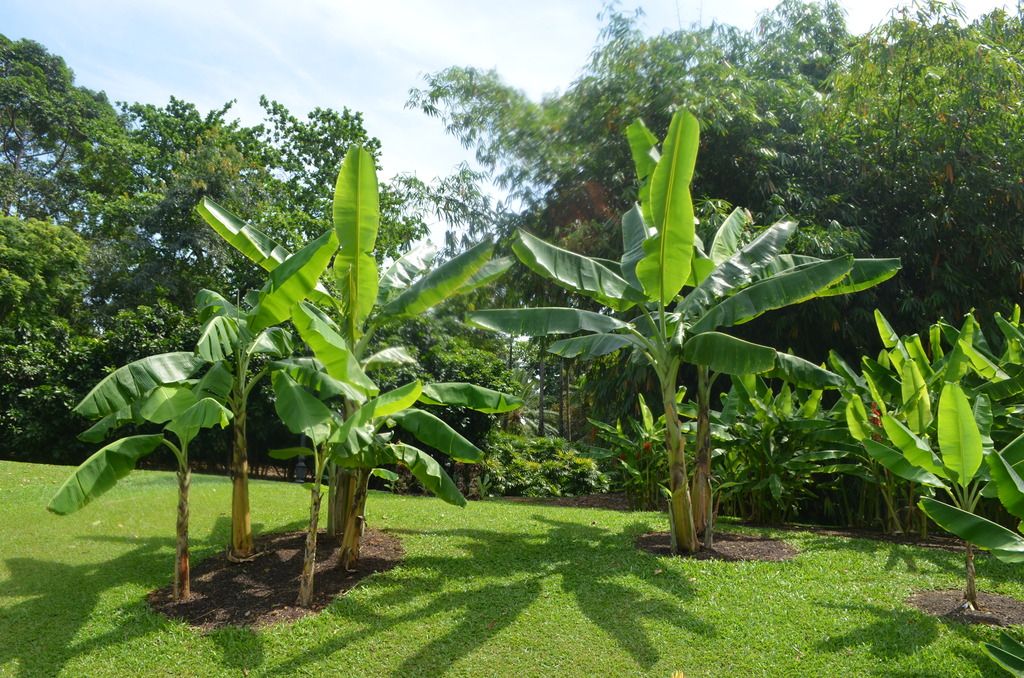  photo DSC_5154_zpskgmvvlxe.jpg