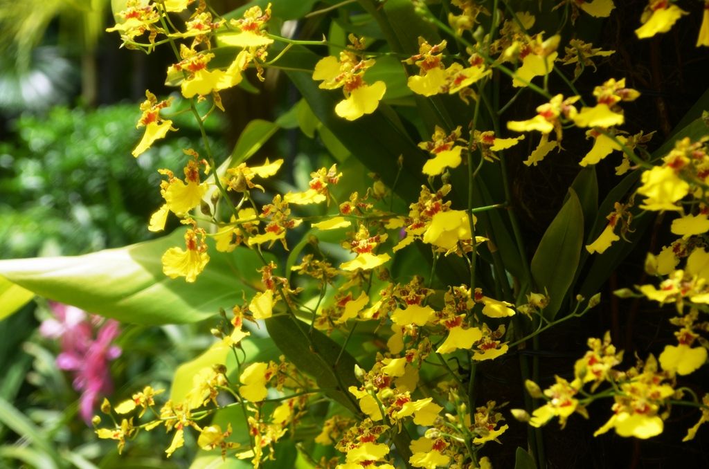  photo DSC_5179_zpstdimwta3.jpg