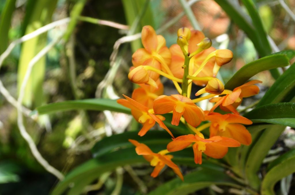  photo DSC_5188_zps6cojpaxm.jpg