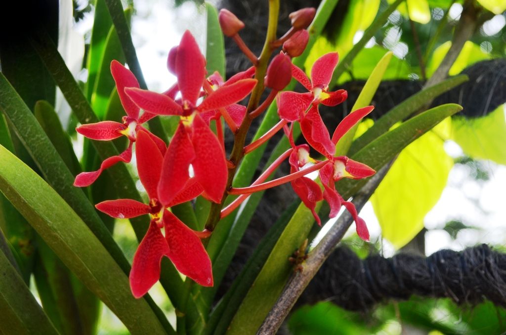  photo DSC_5192_zpslwwjxxaz.jpg