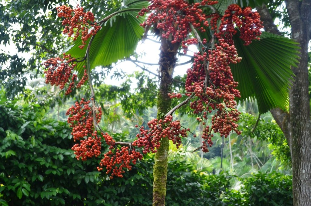  photo DSC_5193_zps7qydgwyr.jpg