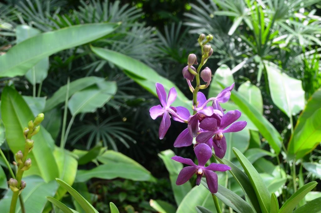  photo DSC_5200_zpswqzbkwrn.jpg