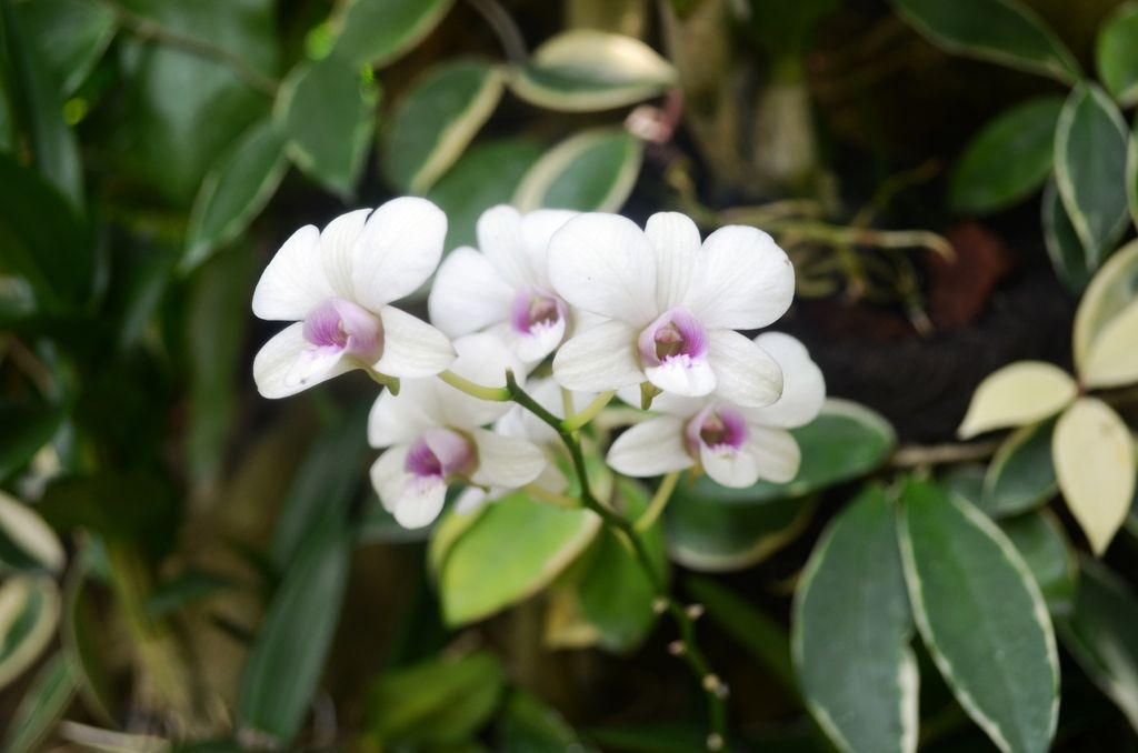  photo DSC_5206_zpsombck34y.jpg