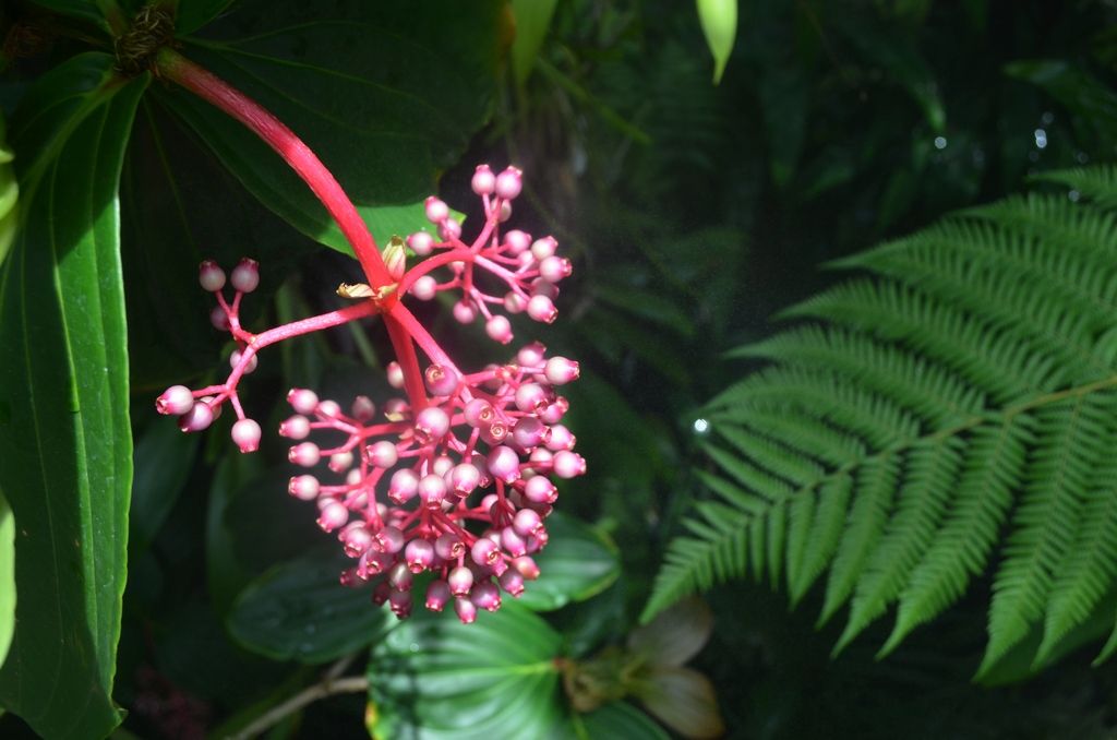  photo DSC_5286 - Copy_zpsgpcfyi0b.jpg