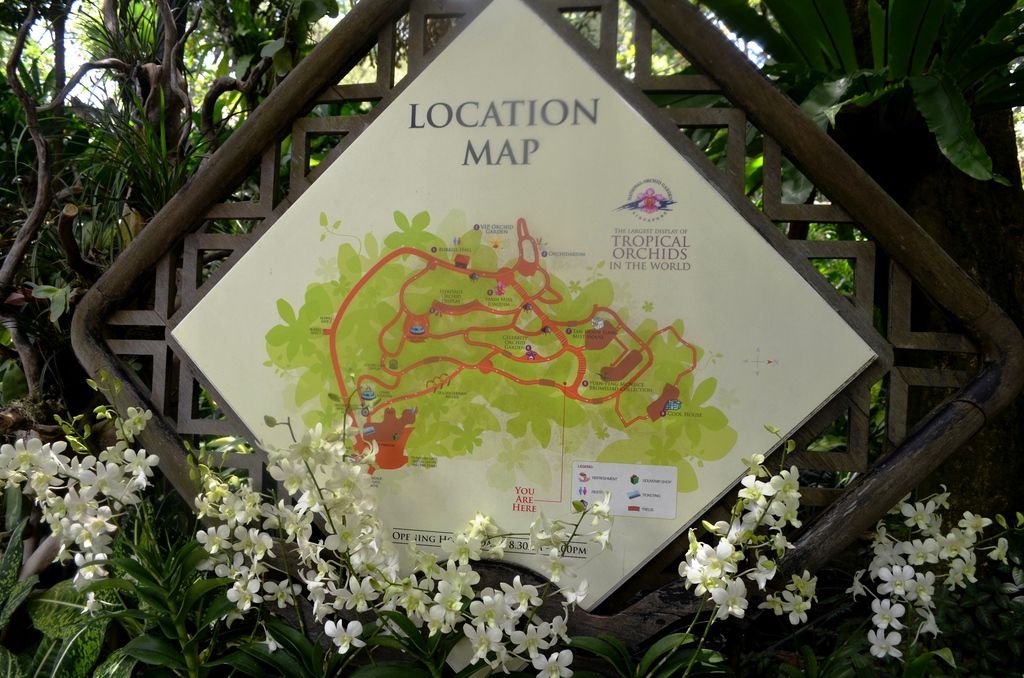  photo DSC_5319_zpsloyp2kvg.jpg