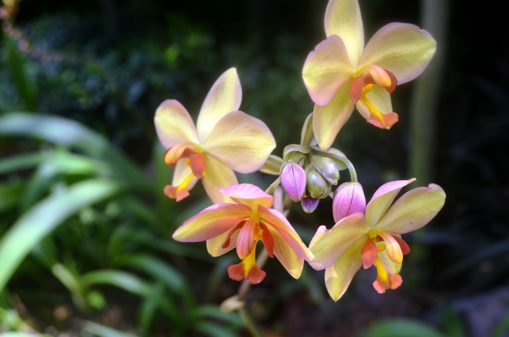  photo DSC_5331_zpsmm8s1tak.jpg