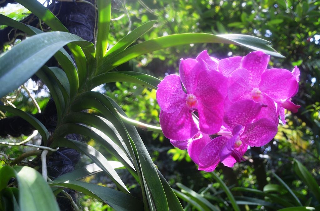  photo DSC_5357_zpsufiwul2d.jpg