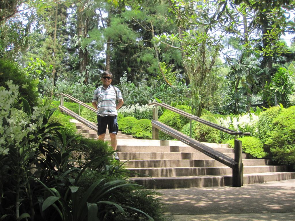  photo IMG_4490_zpspt0jsf8y.jpg