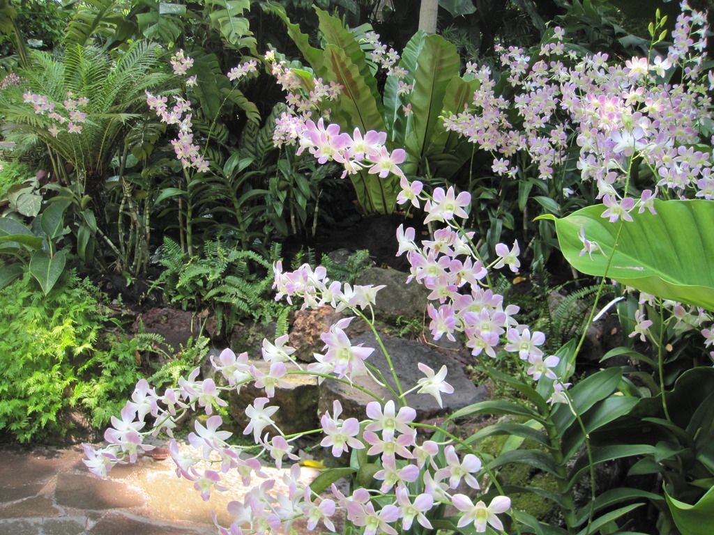  photo IMG_4696_zpswvcdjjuh.jpg