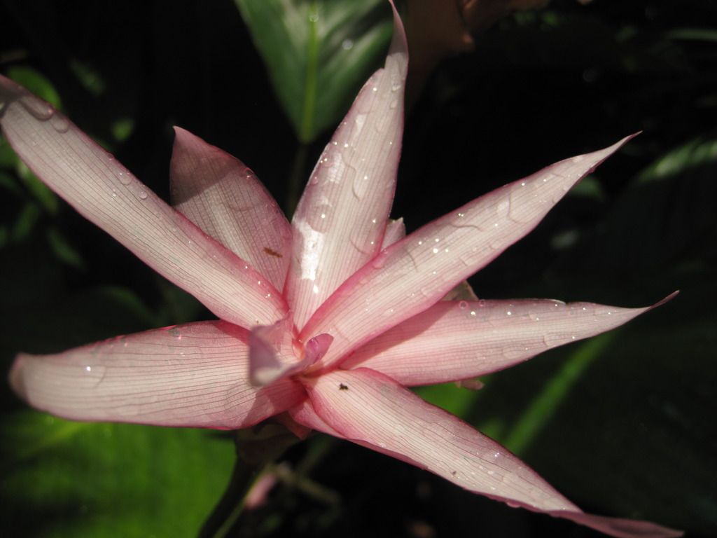  photo IMG_4714_zpsvsvcpjhg.jpg