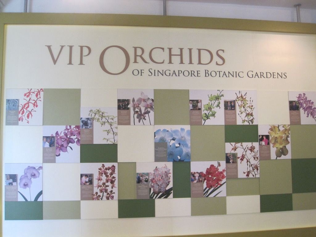  photo IMG_4718_zpscnic3mxi.jpg