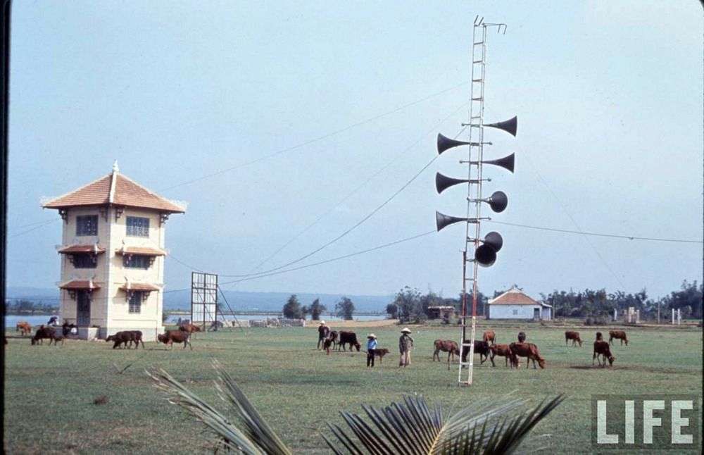  photo Redsvn-Vi-tuyen-17-06_zpsfar1eeth.jpg