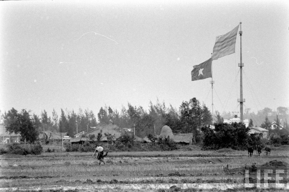  photo Redsvn-Vi-tuyen-17-18_zpspwdqphqs.jpg