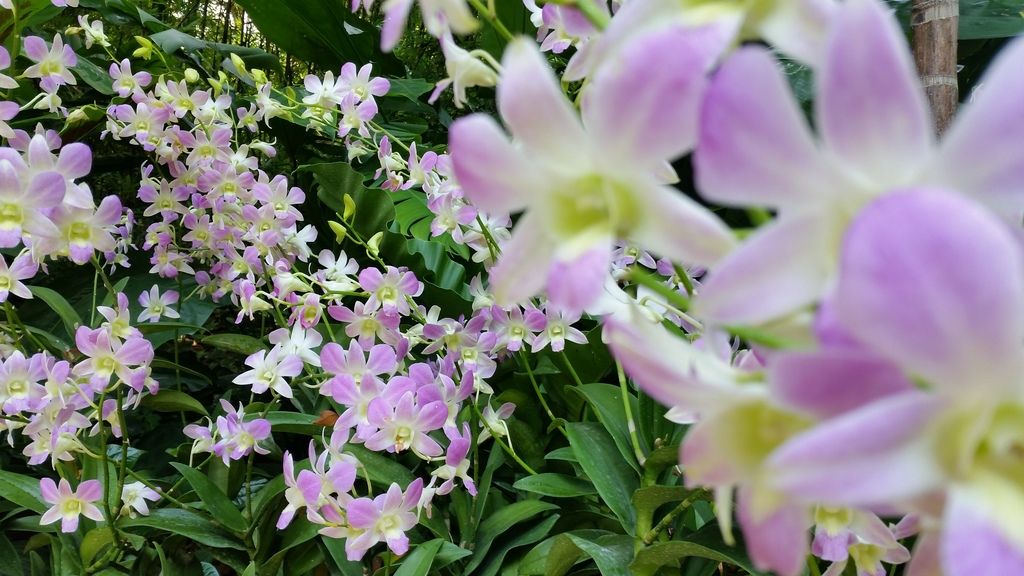  photo 20161004_132644_zpsrwrwjkjl.jpg