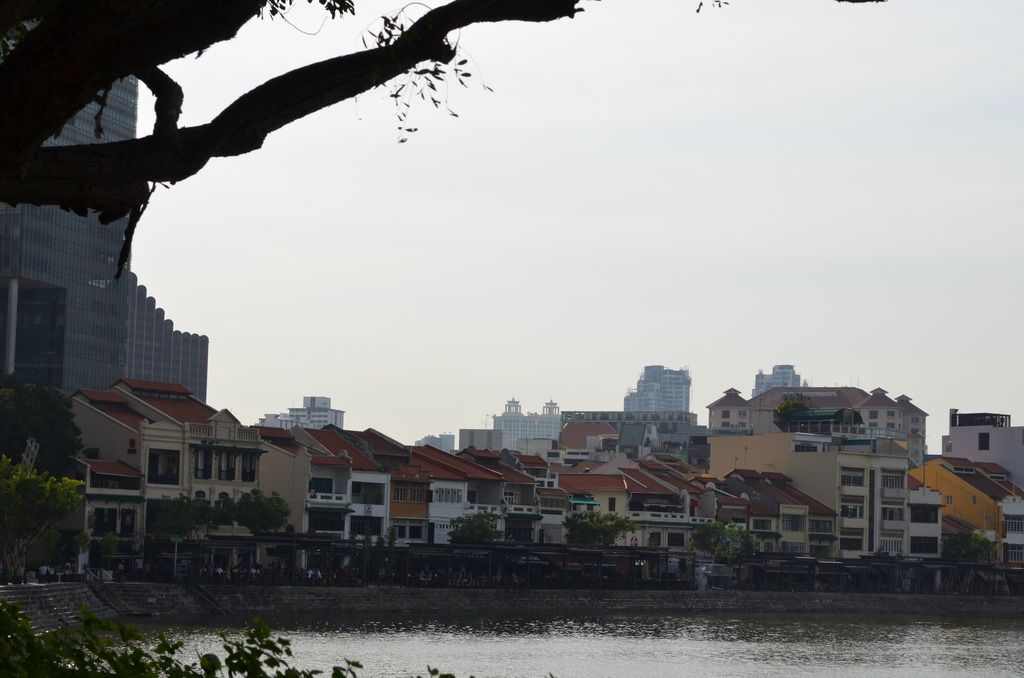  photo DSC_4768_zpsjqxnpzke.jpg