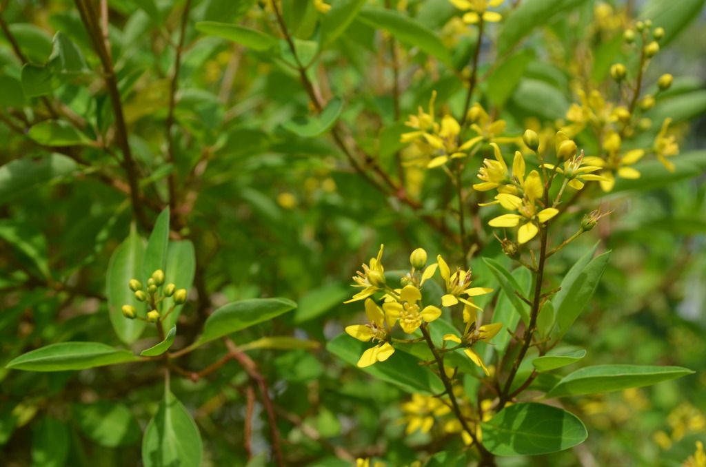  photo DSC_4903_zpsr6o6rco8.jpg