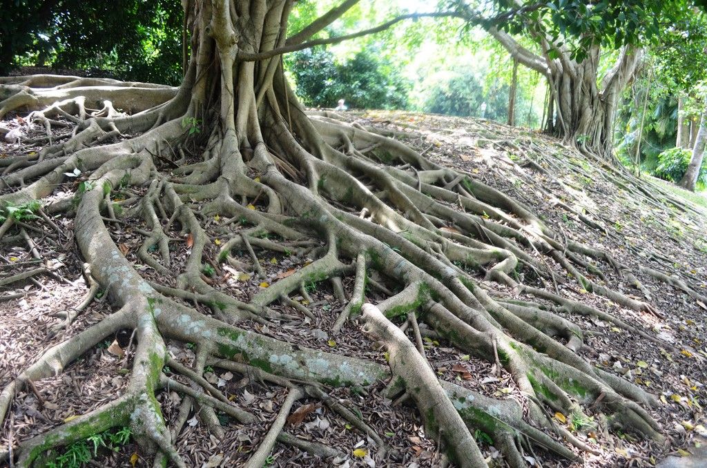  photo DSC_5148_zpsd3fqayjz.jpg