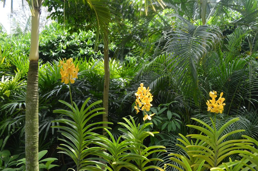  photo DSC_5176_zpssra7jiq5.jpg