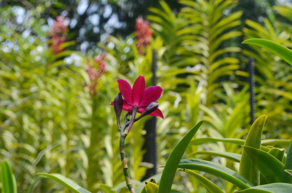  photo DSC_5186_zpsi7ynk5sk.jpg