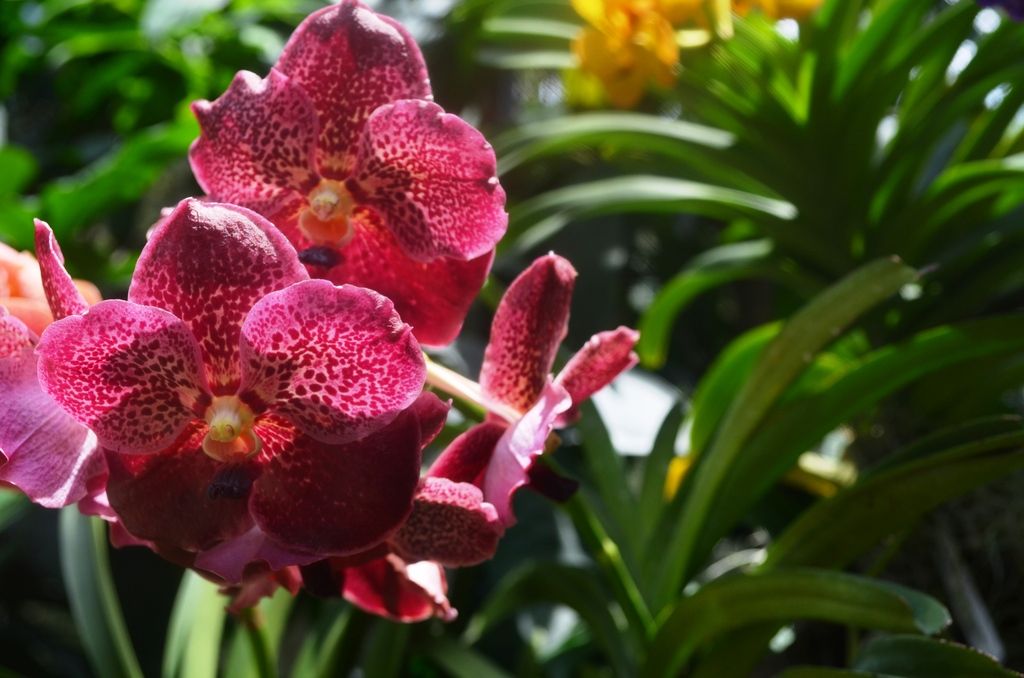  photo DSC_5234_zps2mvjeju5.jpg