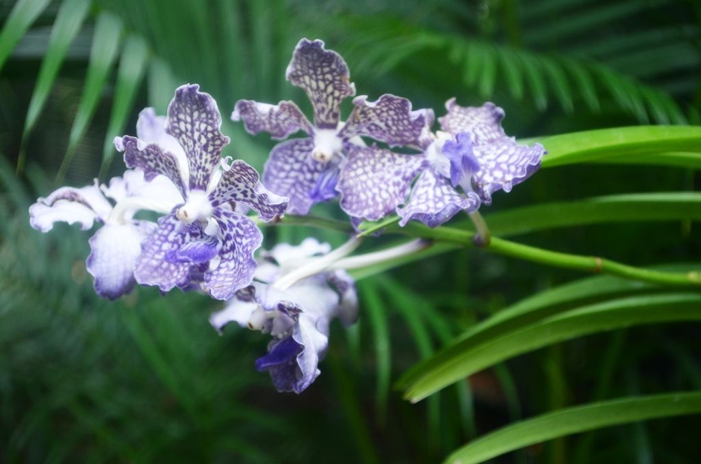  photo DSC_5248_zpsvo5doceg.jpg