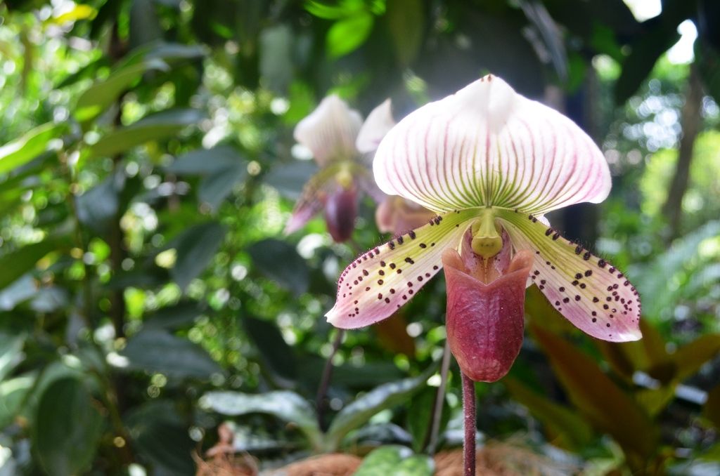  photo DSC_5257_zpsb3uzbqoe.jpg