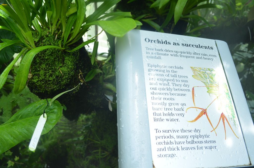  photo DSC_5301_zpsh4wp8wke.jpg