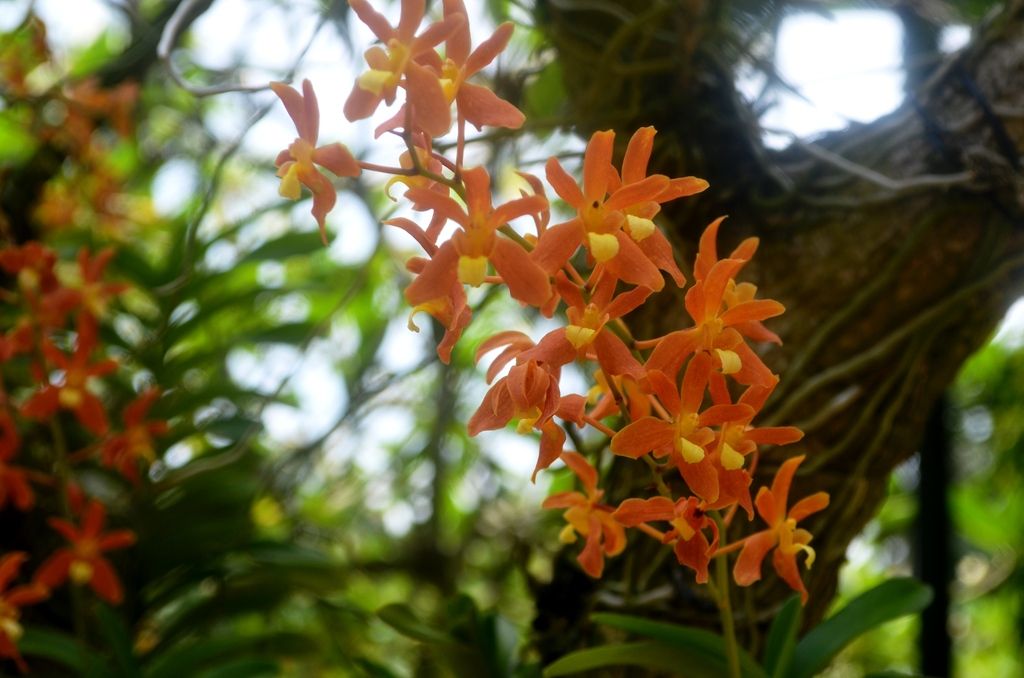  photo DSC_5339_zpskdredtaj.jpg