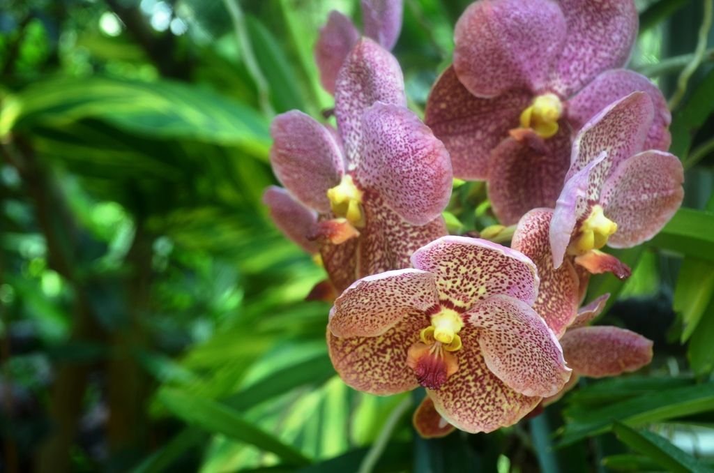  photo DSC_5363_zpsydzc4i4h.jpg