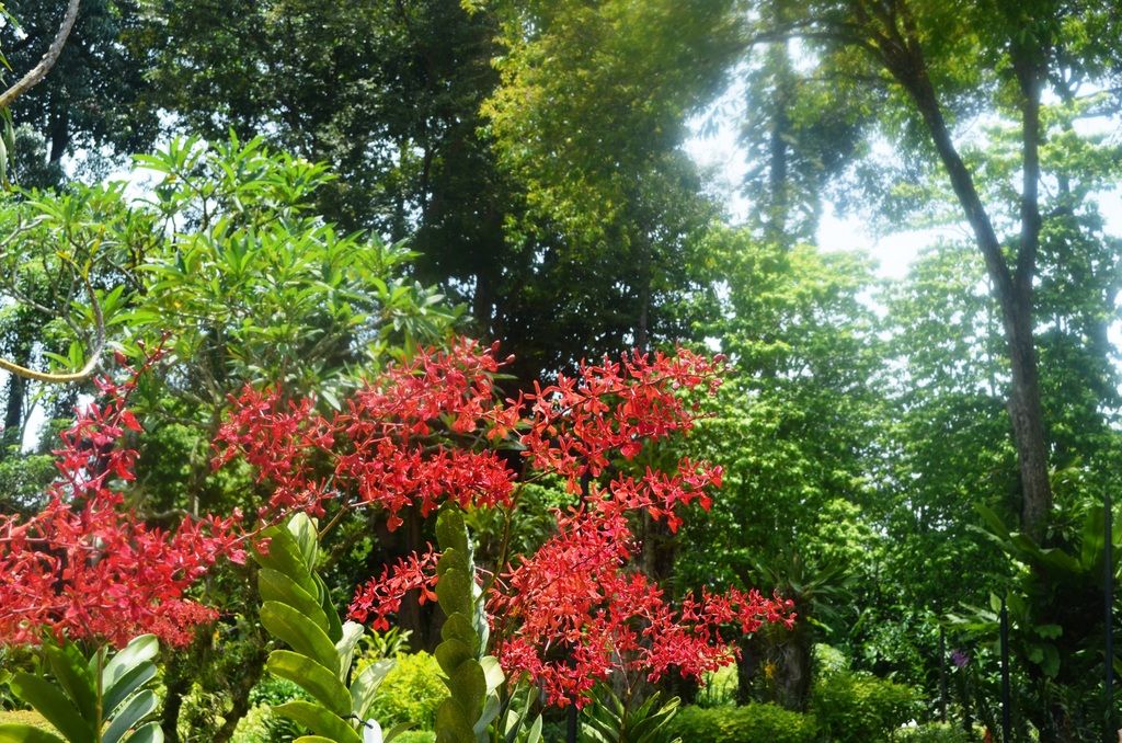  photo DSC_5367_zpsqhgttkom.jpg