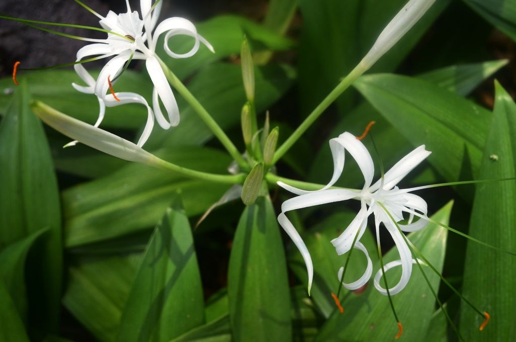  photo DSC_5368_zpsy9eyakpk.jpg