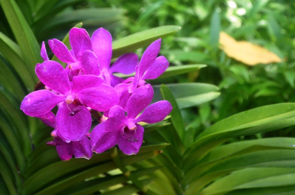  photo DSC_5371_zpsrppgna83.jpg