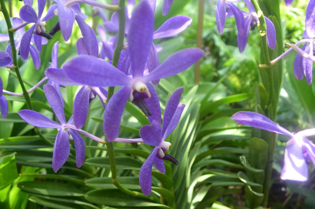  photo DSC_5389_zpslkxoleen.jpg