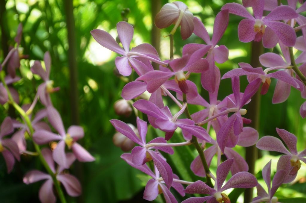  photo DSC_5390_zpsdmw3dtxk.jpg