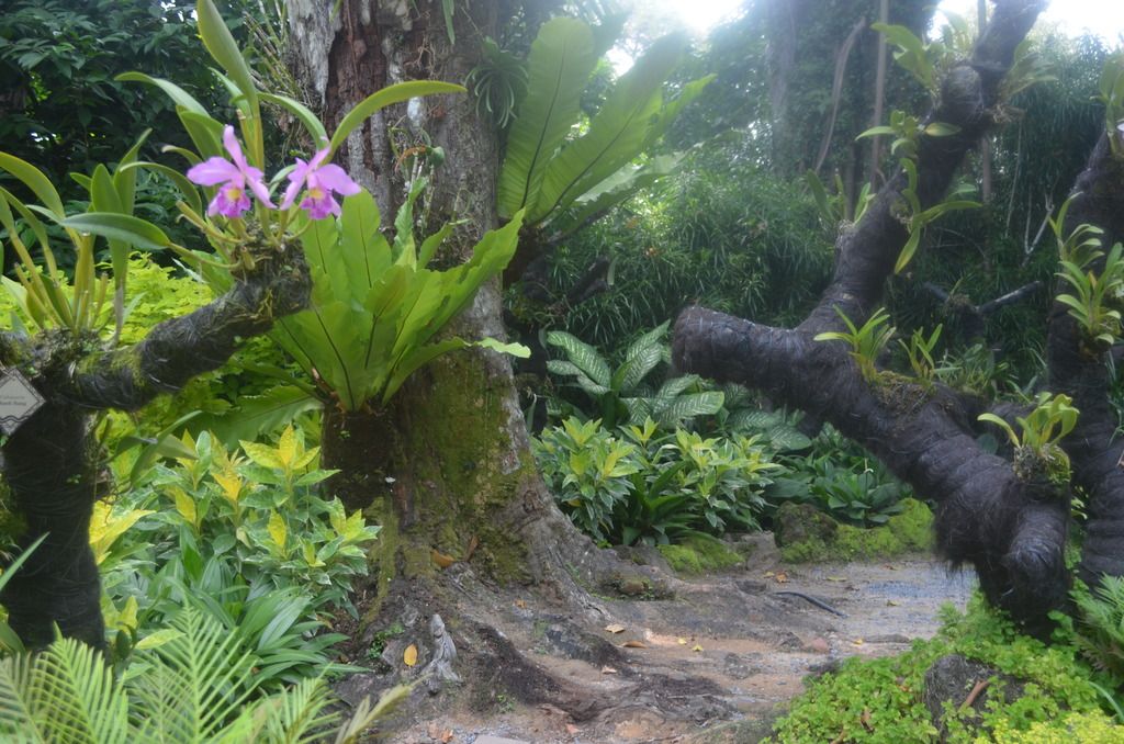  photo DSC_5395_zpsbcefxi0t.jpg